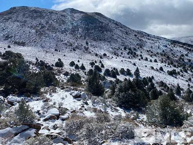TBD Pine Nut Mountains Minden, NV 89423