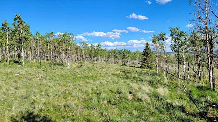 513 Georgia Dr Jefferson, CO 80456