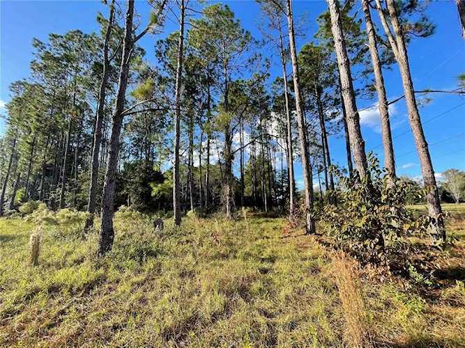 749 SW Coles Ct Fort White, FL 32038