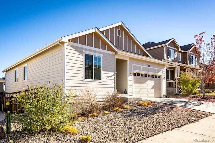 3974 Starry Night Loop Castle Rock, CO 80109