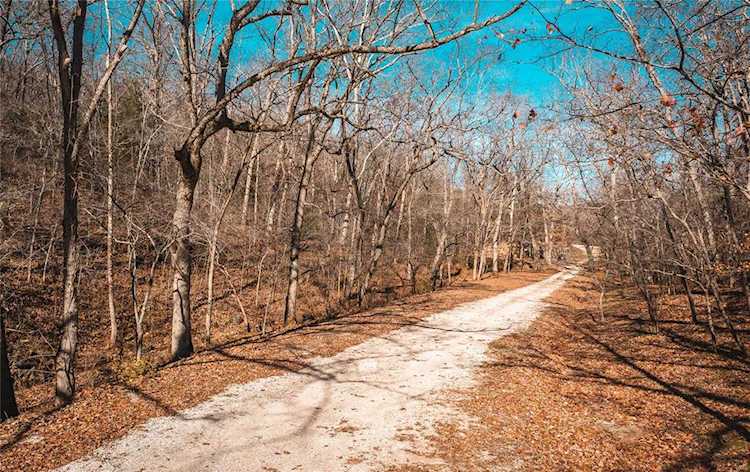 0 Lot 1 Tranquil Ln Devils Elbow, MO 65457