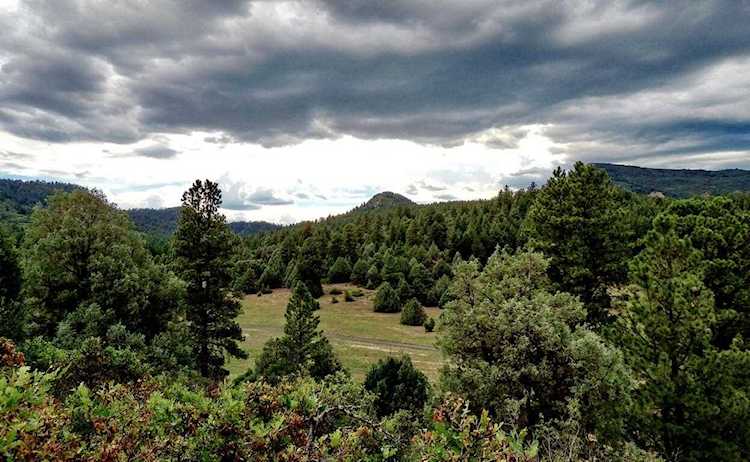 8231 Cr 500 Pagosa Springs, COLORADO 81147
