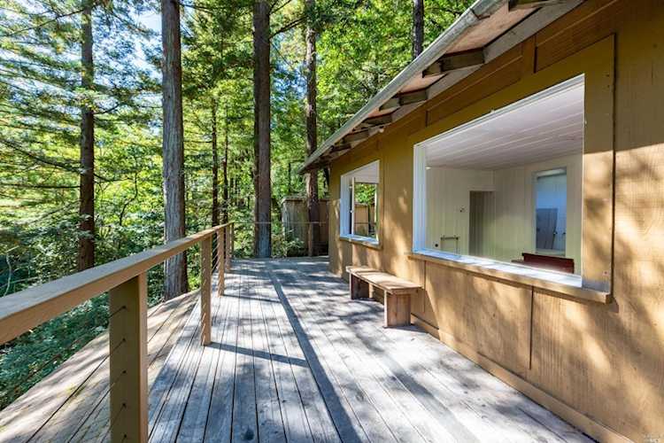 503 W Blithedale Avenue Mill Valley, CA 94941