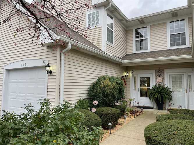 605 Oxford Ct Oswego, IL 60543