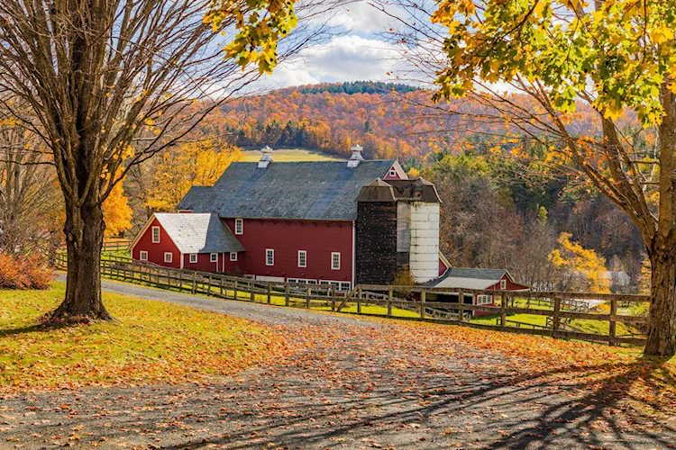 144 & 232 Town Farm Rd Woodstock, VT 05071