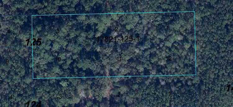 Tbd Gainesville, FL 32641 | MLS GC509501 Photo 1