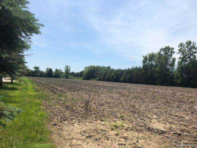19002 32 Mile Ray, MI 48096