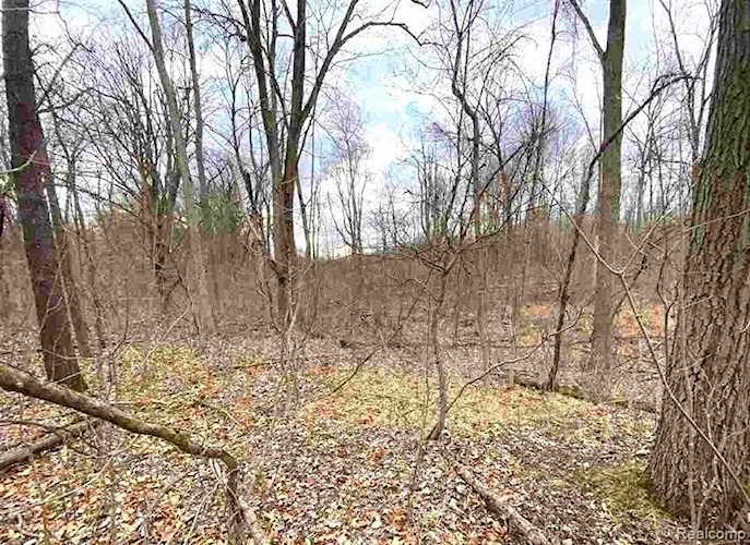 1771 E Predmore, Oakland, MI 48363 in |Oakland MLS# 60126512 Photo 1