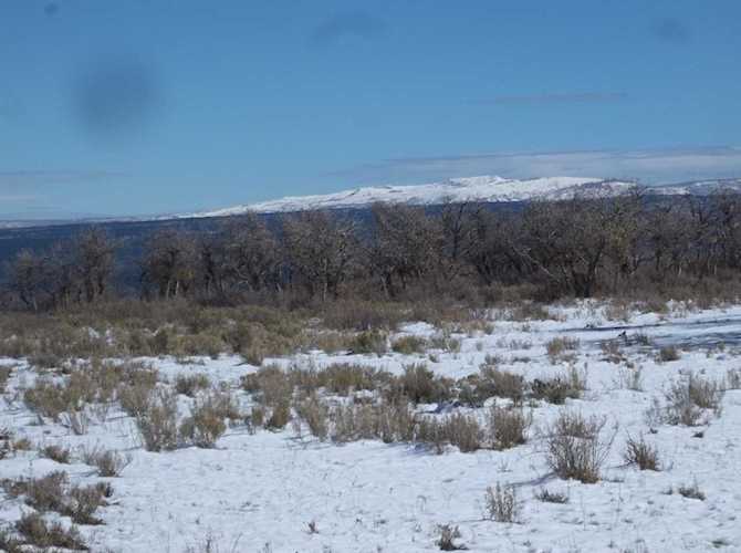 tbd S Reserve Dr #2 Norwood, COLORADO 81423