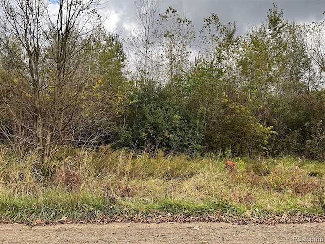000 Martinsville Rd Sumpter Twp, MI 48164 | MLS 2210088721 Photo 1