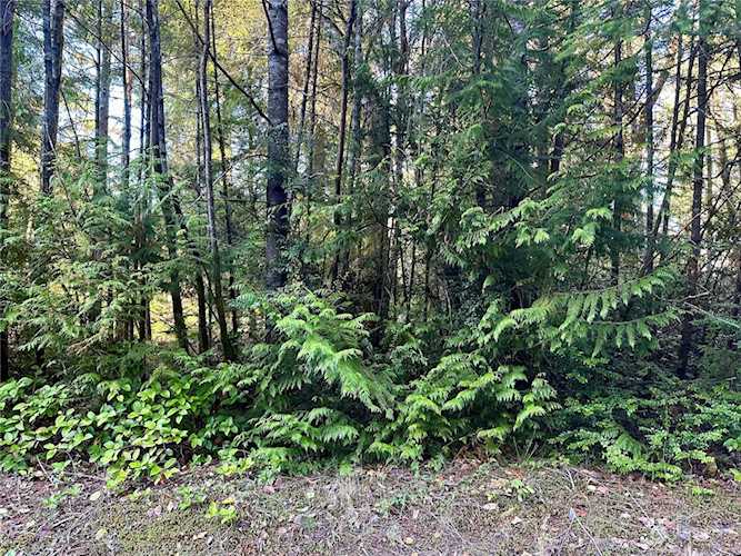 11315 Greenwood Dr Anderson Island, WA 98303 | MLS® 2018160 Photo 1