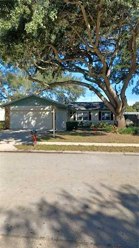 3040 Sugar Bear Trl Palm Harbor, FL 34684