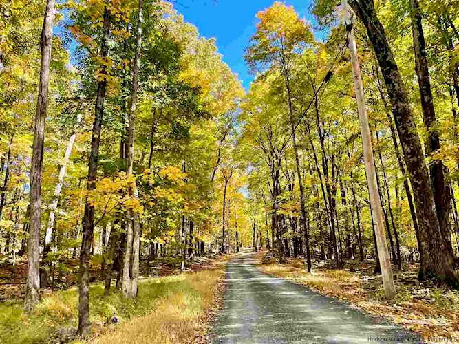 TBD Deer Haven Road Accord, NY 12404
