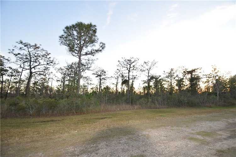 0 Day Springs Road Coden, AL 36523