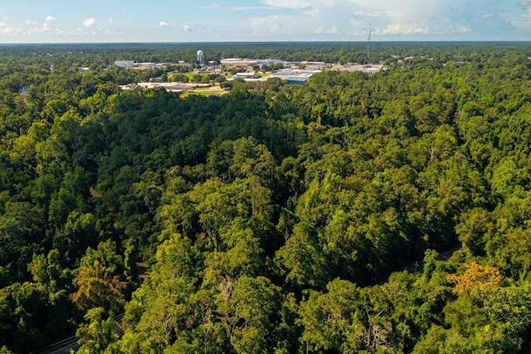 XXX Fletcher Dr Quincy, FL 32351-0000