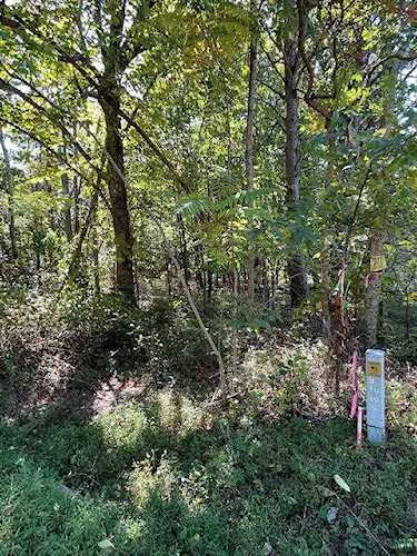 0 Deer Haven Axton, VA 24054