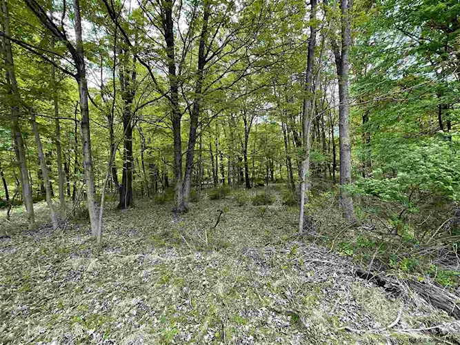 224 Union Center Rd Ulster Park, NY 12487