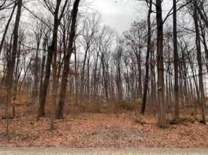 0 Kunstman, Ray Twp, MI 48096 in |Macomb MLS# 50096425 Photo 1