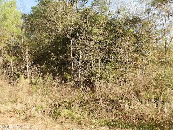 0 Carlyle Drive Theodore, AL 36582 | MLS 7146895 Photo 1