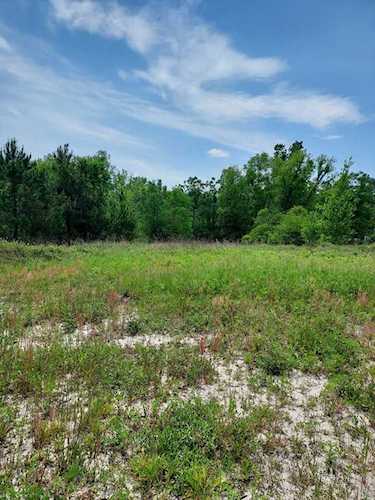 xxx Highway 65 Hosford, FL 32334
