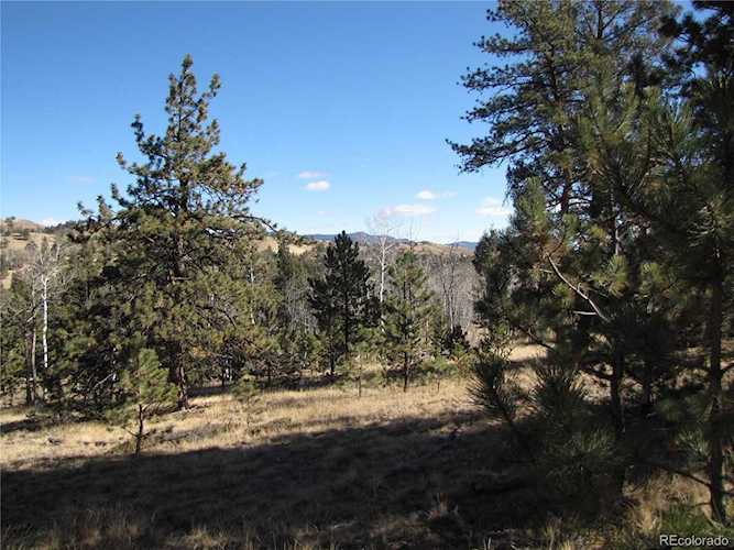 2512 Fitzsimmons Rd Hartsel, CO 80449