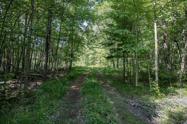 9.18 acres County Road A New Lisbon, WI 53950