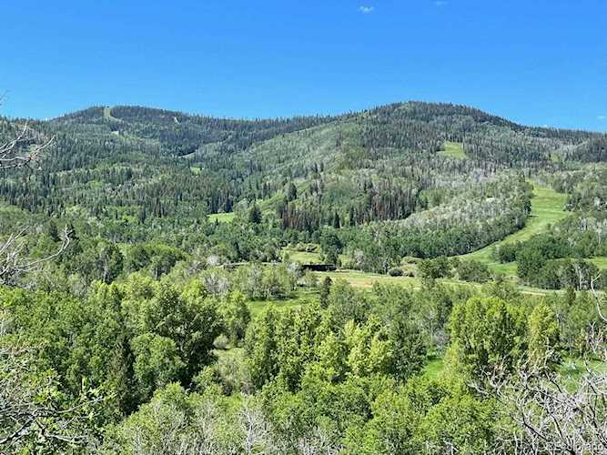 22090 County Road 212 Oak Creek, CO 80467