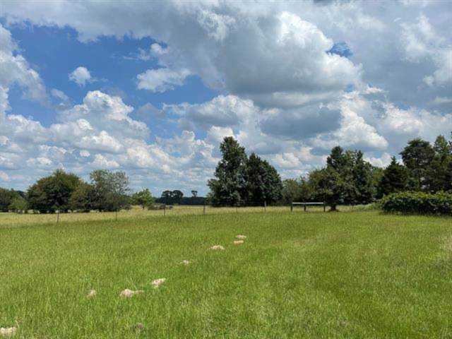 VZ County Road 1220 Tract 7 Grand Saline, TX 75140