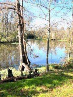 18495 Three Rivers Rd Covington, LA 70433
