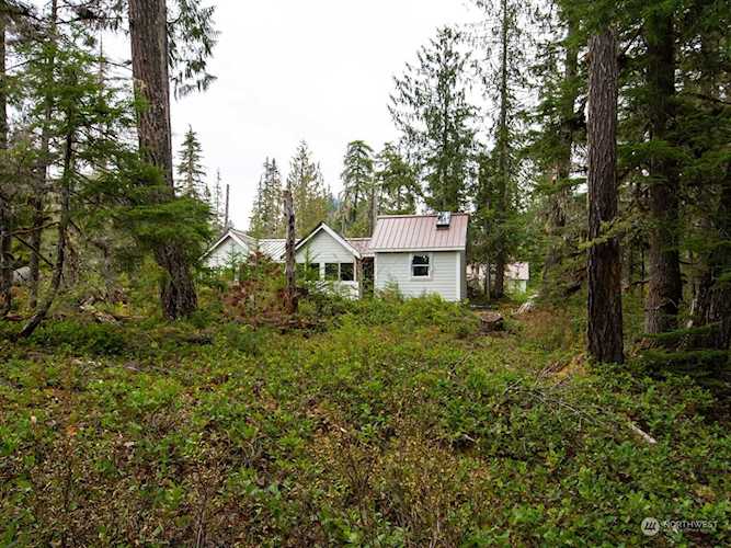 7360 Usfs 81 Rd Cougar, WA 98616