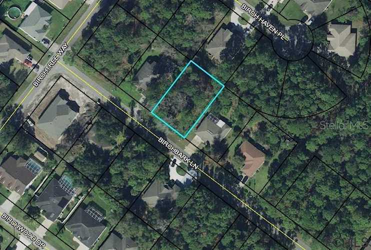 28 Birchbark Ln Palm Coast, FL 32137 | MLS FC274135 Photo 1
