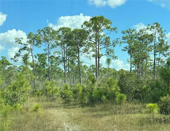17480 Burnt Store Rd Punta Gorda, FL 33955