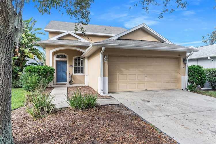 7901 Citrus Blossom Drive Land O Lakes, FL 34637