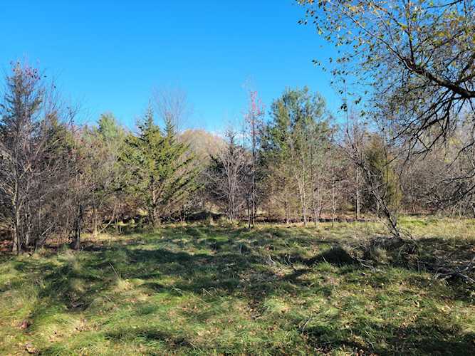 Pontiac Trail Lot 41, South Lyon, MI 48178 in Deer Creek Farms|Oakland MLS# 60175926 Photo 1