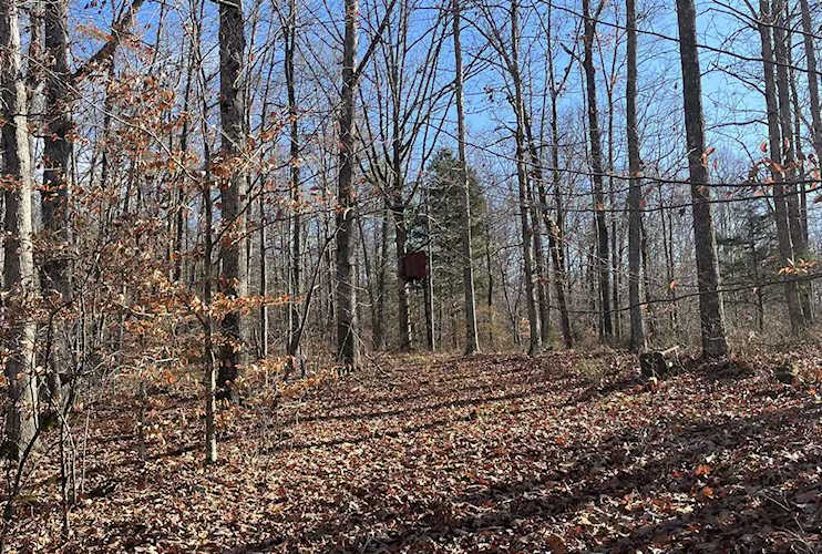0 Blue Buck Creed Rd Duck River, TN 38454