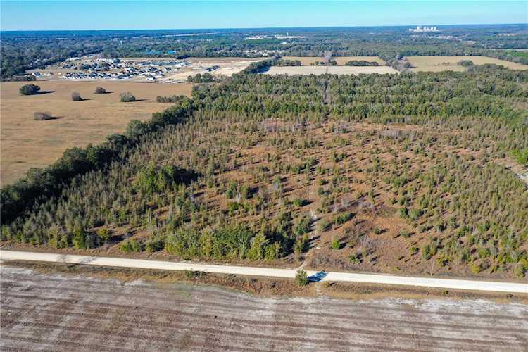 SW 30th Ave Newberry, FL 32669 | MLS O6067361 Photo 1