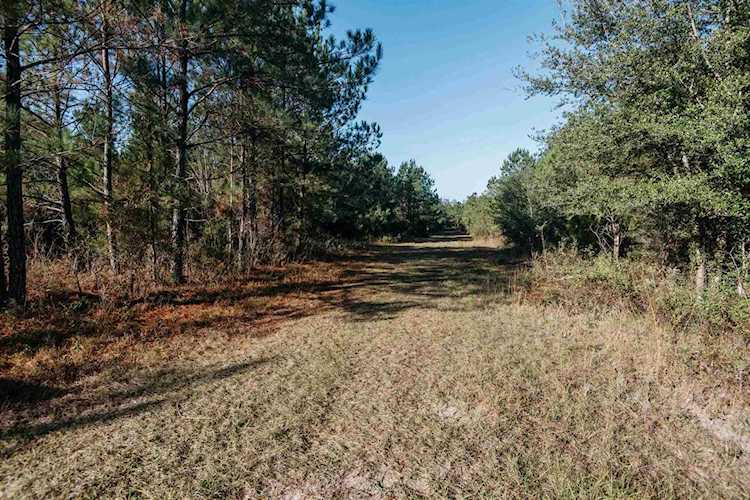 0 Wadesboro Rd Tallahassee, FL 32317