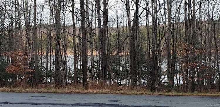 370 Shore Road Swan Lake, NY 12783