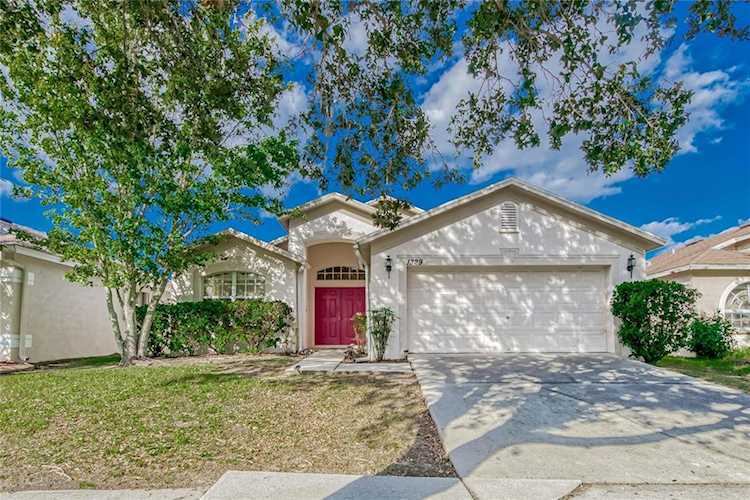 1329 Dragon Head Dr Valrico, FL 33594