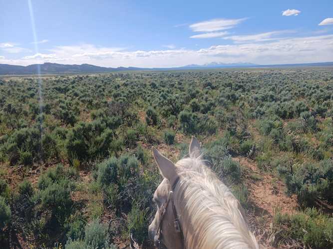 County Dry Creek Basin Road 25R Naturita, COLORADO 81422