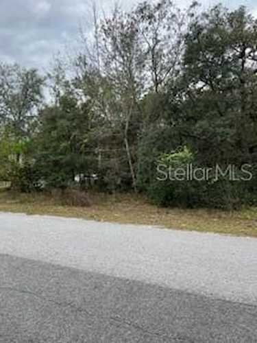 11680 W Cornflower Dr Crystal River, FL 34428 | MLS U8184751 Photo 1