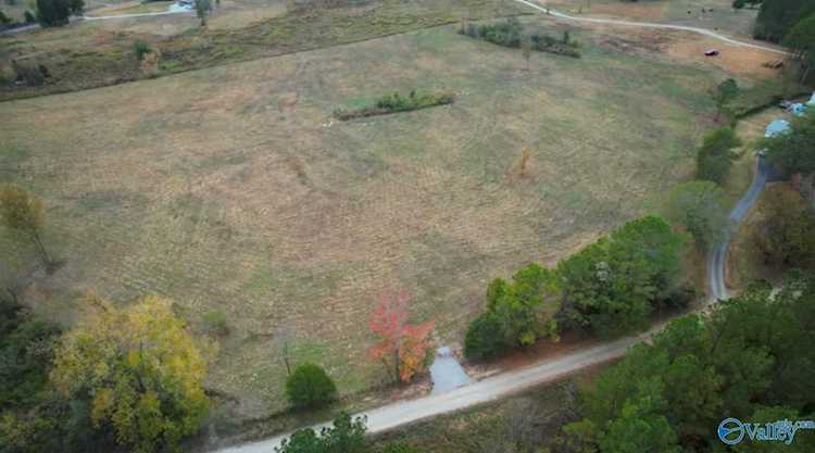 0 County Road 333 Moulton, AL 35650 | MLS 1821288 Photo 1