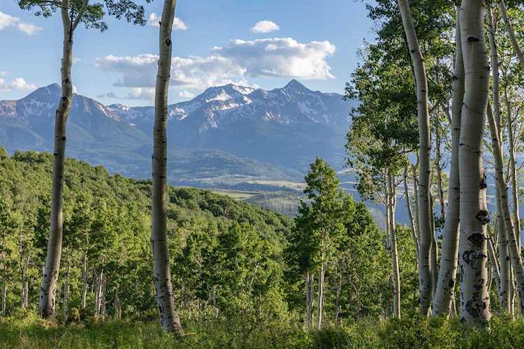 TBD Sunnyside Ranch Rd #9 Telluride, COLORADO 81435