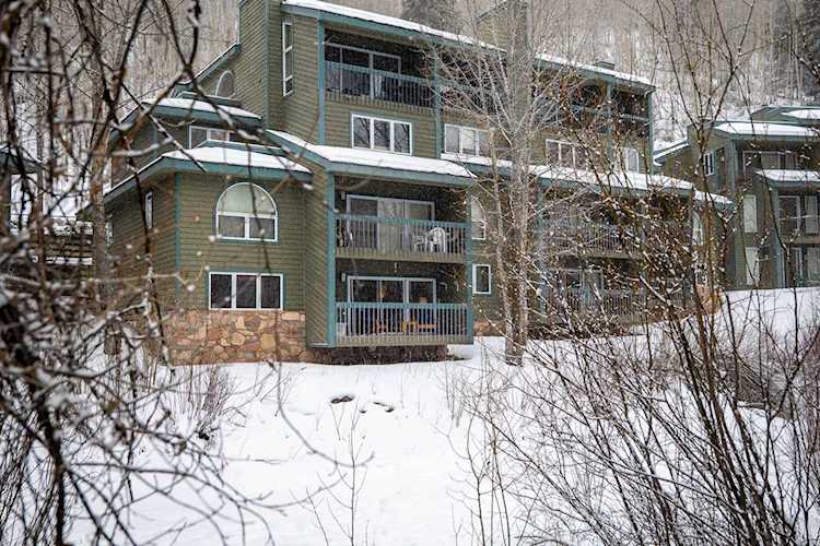 455 S Pine St D03 #D03 Telluride, COLORADO 81435