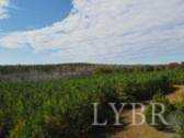 302 Community Road Dillwyn, VA 23936