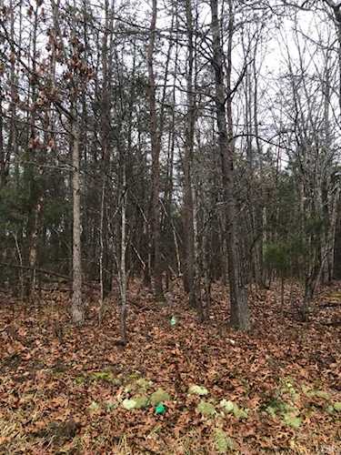 0 3C Mohawk Gladys, VA 24554 | MLS 341931 Photo 1