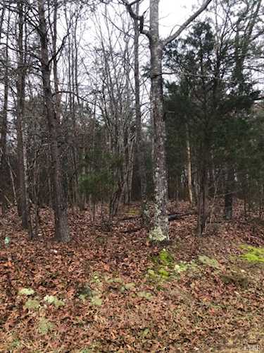 0 3B Mohawk Gladys, VA 24554 | MLS 341932 Photo 1