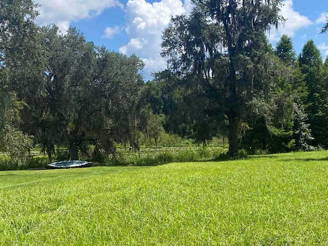 0 Mill Pond Loop Tallahassee, FL 32317 in None Photo 1
