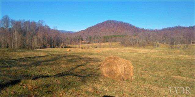 899 Wagon Trail Rd Monroe, VA 24574