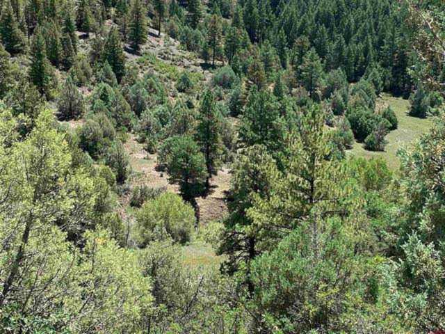 402 Crestone Place Pagosa Springs, CO 81147